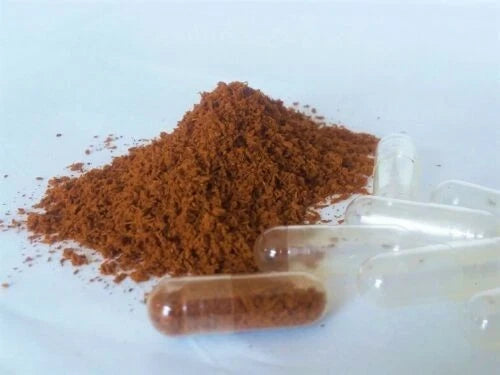 1 Pound Powder Wild Phellinus Linteus Sanghwang Mesima Mushroom상황버섯