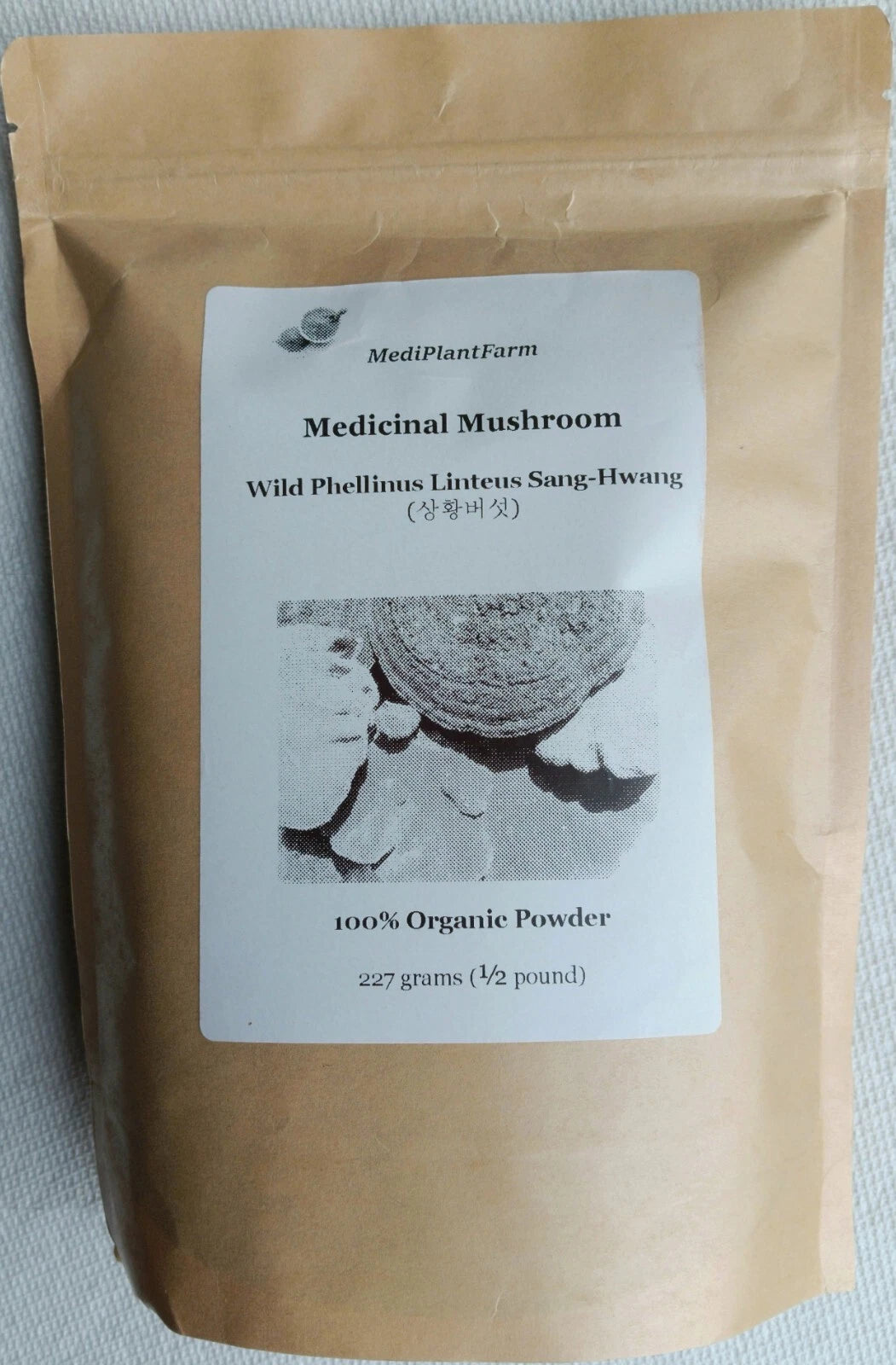 1 Pound Powder Wild Phellinus Linteus Sanghwang Mesima Mushroom상황버섯
